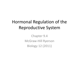 Hormonal Regulation of the Reproductive System Chapter 9.4 McGraw-Hill Ryerson Biology 12 (2011) MALE REPRODUCTIVE HORMONES • The male reproductive organ, the testes contain: – seminiferous tubules (containing Sertoli.
