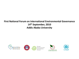 First National Forum on International Environmental Governance 14th September, 2010 Addis Ababa University.