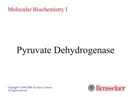 Molecular Biochemistry I  Pyruvate Dehydrogenase  Copyright © 1999-2006 by Joyce J. Diwan. All rights reserved.