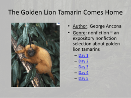 The Golden Lion Tamarin Comes Home • Author: George Ancona • Genre: nonfiction ~ an expository nonfiction selection about golden lion tamarins – – – – –  Day 1 Day 2 Day 3 Day.