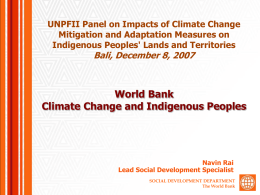 UNPFII Panel on Impacts of Climate Change Mitigation and Adaptation Measures on Indigenous Peoples' Lands and Territories  Bali, December 8, 2007  World Bank Climate Change.