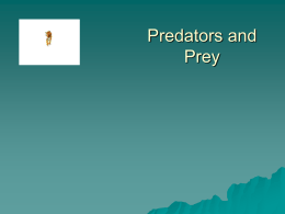 Predators and Prey This powerpoint was kindly donated to www.worldofteaching.com  http://www.worldofteaching.com is home to over a thousand powerpoints submitted by teachers.