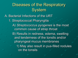 Diseases of the Respiratory System A. Bacterial Infections of the URT 1. Streptococcal Pharyngitis A) Streptococcus pyogenes is the most common cause of strep throat B)