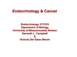 Endocrinology & Cancer  Endocrinology 317/319 Department of Biology University of Massachusetts Boston Kenneth L.