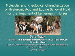 Molecular and Rheological Characterization of Hyaluronic Acid and Equine Synovial Fluid for the Treatment of Lameness in Horses  Sara Tracy  Advisors: Dr.