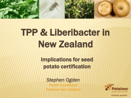 TPP & Liberibacter in New Zealand Implications for seed potato certification Stephen Ogden Psyllid Coordinator Potatoes New Zealand.