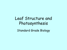Leaf Structure and Photosynthesis Standard Grade Biology Photosynthesis • Green plants (producers) can use light energy to make their own food  • This process is.