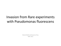 Invasion from Rare experiments with Pseudomonas fluorescens  Roland Mathis & Rosanna Chau HMC 2012