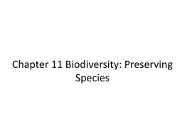 Chapter 11 Biodiversity: Preserving Species 11.1 Biodiversity And The Species Concept • What is biodiversity? • What are species? – Genetically Similar Organisms Capable of Interbreeding.