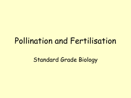 Pollination and Fertilisation Standard Grade Biology Pollination Self-pollination • Pollen from the anther is transferred to the stigma.