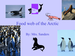 Food web of the Arctic By: Mrs. Sanders Plankton •  Plankton are microscopic organisms that float freely with oceanic currents and in other bodies of.