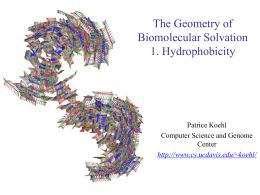 The Geometry of Biomolecular Solvation 1. Hydrophobicity  Patrice Koehl Computer Science and Genome Center http://www.cs.ucdavis.edu/~koehl/ The Importance of Shape Sequence KKAVINGEQIRSISDLHQTLKK WELALPEYYGENLDALWDCLTG VEYPLVLEWRQFEQSKQLTENG AESVLQVFREAKAEGCDITI  Structure  Function  ligand.