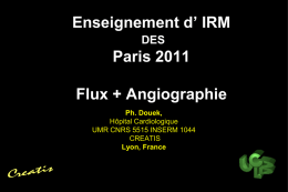Enseignement d’ IRM DES  Paris 2011 Flux + Angiographie Ph. Douek, Hôpital Cardiologique UMR CNRS 5515 INSERM 1044 CREATIS Lyon, France.