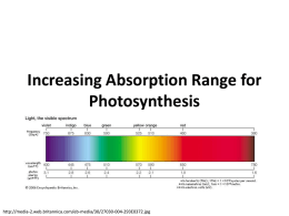 Increasing Absorption Range for Photosynthesis  http://media-2.web.britannica.com/eb-media/30/27030-004-293E0372.jpg Goals • Express different photosynthetic pigments in cyanobacteria • Increase the wavelengths that can absorb light energy and transfer to.