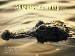 Alligator Farming  Dr. Craig Kasper HCC Aquaculture FAS 1012C Alligators are one of Florida’s most distinctive native creatures, and are regarded with curiosity and awe.