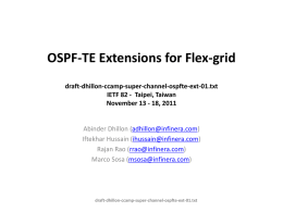 OSPF-TE Extensions for Flex-grid draft-dhillon-ccamp-super-channel-ospfte-ext-01.txt IETF 82 - Taipei, Taiwan November 13 - 18, 2011  Abinder Dhillon (adhillon@infinera.com) Iftekhar Hussain (ihussain@infinera.com) Rajan Rao (rrao@infinera.com) Marco Sosa (msosa@infinera.com)  draft-dhillon-ccamp-super-channel-ospfte-ext-01.txt.