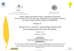 WORLD INTELLECTUAL  INTERNATIONAL NETWORK  PROPERTY ORGANIZATION  FOR SMALL AND MEDIUM-SIZED ENTERPRISES  WIPO-INSME INTERNATIONAL TRAINING PROGRAM ON THE ROLE OF INTELLECTUAL PROPERTY IN RAISING FINANCE BY SMALL.