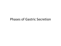 Phases of Gastric Secretion Stomach Histology • Rugae: Folds in stomach when empty • Gastric pits: Openings for gastric glands – Contain cells • Surface mucous: