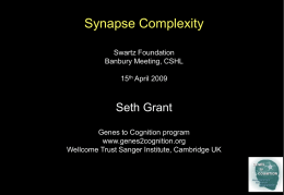 Synapse Complexity Swartz Foundation Banbury Meeting, CSHL 15th April 2009  Seth Grant Genes to Cognition program www.genes2cognition.org Wellcome Trust Sanger Institute, Cambridge UK.