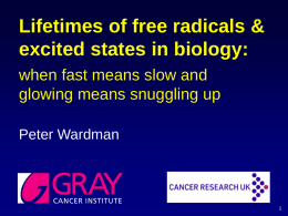 Lifetimes of free radicals & excited states in biology: when fast means slow and glowing means snuggling up Peter Wardman.