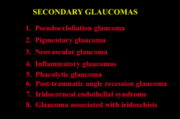 SECONDARY GLAUCOMAS 1. Pseudoexfoliation glaucoma 2. Pigmentary glaucoma 3. Neovascular glaucoma 4. 5. 6. 7. 8.  Inflammatory glaucomas Phacolytic glaucoma Post-traumatic angle recession glaucoma Iridocorneal endothelial syndrome Glaucoma associated with iridoschisis.