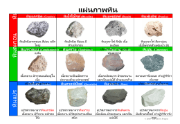 แผ่ นภาพหิน หินไรโอไรต์  (Rhyolite)  หินบะซอลต์ (Basalt)  หินพัมมิซ (Pumice)  หิ นอัคนี  หินแกรนิต (Granite)  หิ นอัคนีแทรกซอน สี อ่อน ผลึกใหญ่ มีแร่ ควอรตซ์ เฟลด์สปาร์ ฮอร์นเบล์น  หิ นตะกอน  หินกรวดมน (Conglomerate)  เนื้อหยาบ มีกรวดมนฝังอยูใ่ นเนื้อ เชื่อมด้วยวัสดุประสาน (Gneiss)  หินทราย  (Sandstone)  เนื้อหยาบเป็ นเม็ดทราย ประกอบด้วย แร่ ควอรตซ์  หินควอร์