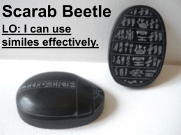 Scarab Beetle LO: I can use similes effectively. Vocabulary/Glossary: scarab: a symbol of the sun god often made into amulets and shaped like the.