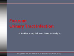 Focus on Urinary Tract Infection S. Buckley, N246, Fall, 2010, based on Mosby pp.  Copyright © 2010, 2007, 2004, 2000, Mosby, Inc., an.