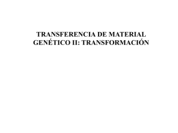 TRANSFERENCIA DE MATERIAL GENÉTICO II: TRANSFORMACIÓN Nucleína Johan F. Miescher (1868) aisló de núcleos de leucocitos “una sustancia que contenía fósforo” con una.