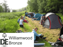 Williamwood Bronze The Headlines A prestigious, internationally recognized award for young people. Offered at three levels: Bronze, Silver, Gold. Offered by the school at Bronze.