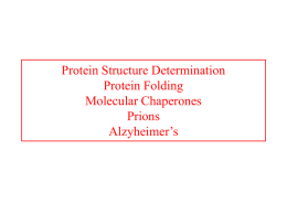 Protein Structure Determination Protein Folding Molecular Chaperones Prions Alzyheimer’s Tertiary Structure of Proteins Two methods: 1.