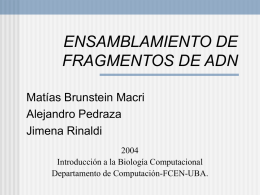 ENSAMBLAMIENTO DE FRAGMENTOS DE ADN Matías Brunstein Macri Alejandro Pedraza Jimena RinaldiIntroducción a la Biología Computacional Departamento de Computación-FCEN-UBA.