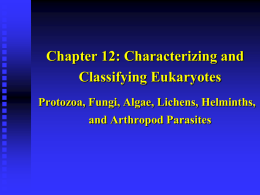 Chapter 12: Characterizing and Classifying Eukaryotes Protozoa, Fungi, Algae, Lichens, Helminths, and Arthropod Parasites.