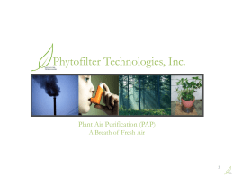Phytofilter Technologies, Inc.  Plant Air Purification (PAP) A Breath of Fresh Air.