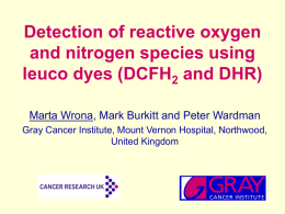 Detection of reactive oxygen and nitrogen species using leuco dyes (DCFH2 and DHR) Marta Wrona, Mark Burkitt and Peter Wardman Gray Cancer Institute, Mount.