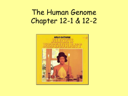 The Human Genome Chapter 12-1 & 12-2 THINK ABOUT IT  What does a can of Diet Coke and this song have to do with human.