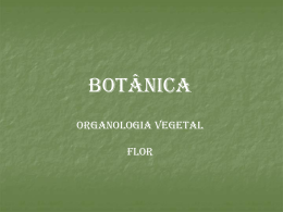 BOTÂNICA ORGANOLOGIA VEGETAL FLOR FLOR         São órgãos reprodutores das fanerógamas Apresentam-se em 2 sexos = monóclinas ou hermafroditas Apenas 1 dos sexos( díclinas) Monóica (Plantas com flores.
