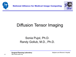 National Alliance for Medical Image Computing  Diffusion Tensor Imaging Sonia Pujol, Ph.D. Randy Gollub, M.D., Ph.D.  Surgical Planning Laboratory -1-  http://www.slicer.org  Brigham and Women’s Hospital.