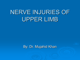 NERVE INJURIES OF UPPER LIMB  By: Dr. Mujahid Khan Brachial Plexus Injuries (upper lesions)  These  are caused by the excessive displacement of the head to.