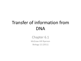 Transfer of information from DNA Chapter 6.1 McGraw-Hill Ryerson Biology 12 (2011) Link between genes and proteins • mRNA: RNA strand that serves information to be translated.