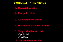 CORNEAL INFECTIONS 1. Bacterial keratitis  2. Fungal keratitis 3. Acanthamoeba keratitis 4. Infectious crystalline keratitis  5.