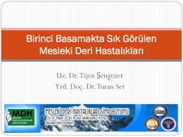 Birinci Basamakta Sık Görülen Mesleki Deri Hastalıkları Uz. Dr. Tijen Şengezer Yrd. Doç.