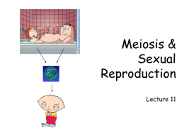 Meiosis & Sexual Reproduction Lecture 11 ________ Transfer of characteristics from parent to offspring through their genes • ________ - Complete  complement of an organism’s DNA.  • ___________ - carry genes.  • ______