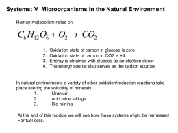 Systems: V Microorganisms in the Natural Environment Human metabolism relies on  C6 H12 O6  O2  CO2 1. 2. 3. 4.  Oxidation state of carbon in.