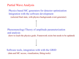Partial Wave Analysis Physics based MC generators for detector optimization Integration with the software development (selected final state, with physics backgrounds event generator)  Phenomenology/Theory.