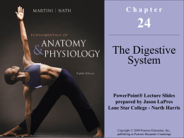 Chapter The Digestive System PowerPoint&reg; Lecture Slides prepared by Jason LaPres Lone Star College - North Harris  Copyright &copy; 2009 Pearson Education, Inc., publishing as Pearson.