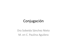 Conjugación Dra Sobeida Sánchez Nieto M. en C. Paulina Aguilera Variación genética Recombinación Genética La recombinación se puede definir como cualquier proceso en que tenga.