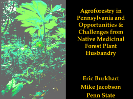Agroforestry in Pennsylvania and Opportunities & Challenges from Native Medicinal Forest Plant Husbandry  Eric Burkhart Mike Jacobson Penn State.