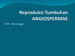 Oleh : Maria Inggrit ALAT REPRODUKSI ANGIOSPERMAE Bunga Merupakan organ reproduksi pada tumbuhan spermathopyta.