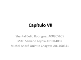 Capítulo VII Shantal Bello Rodríguez A00965655 Mitzi Sámano Loyola A01014087 Michel André Quintin Chagoya A01160341